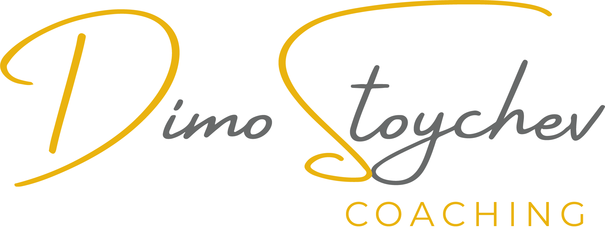 Dimo Stoychev Coaching