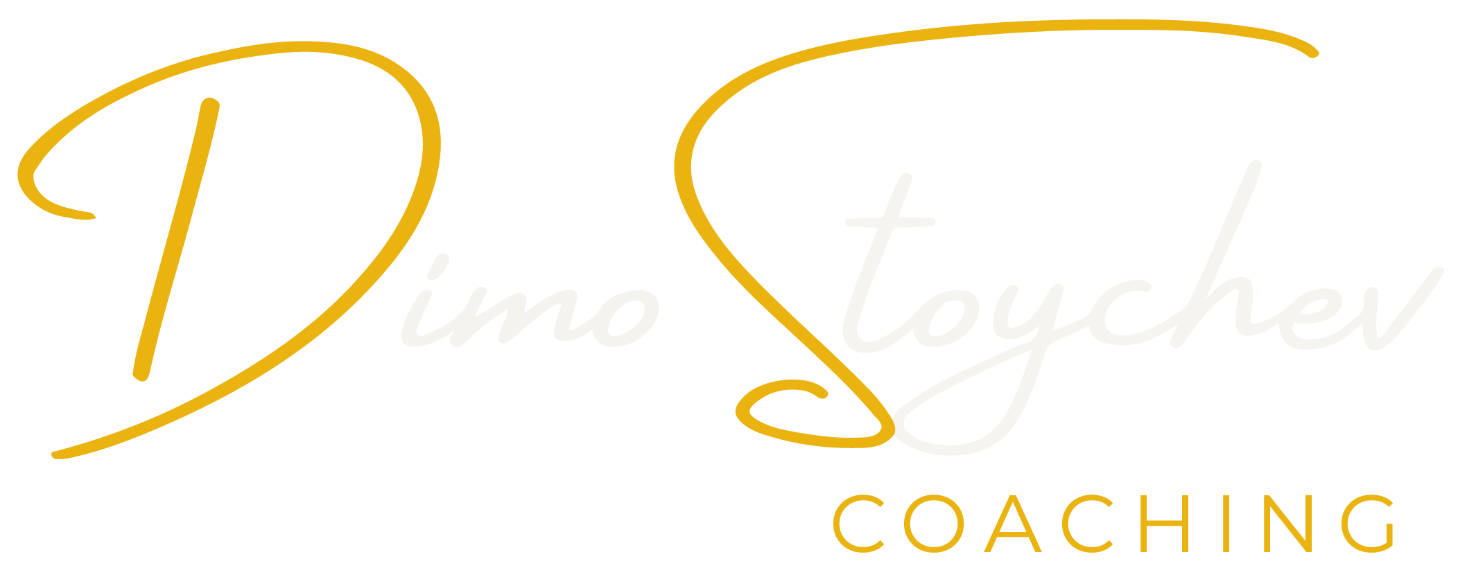 Dimo Stoychev Coaching